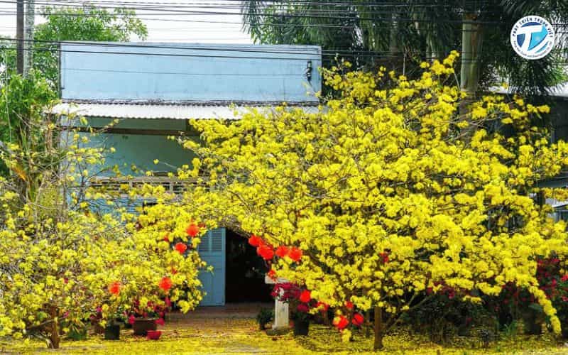 Hình ảnh cổng chào Tết miền Nam – Rực rỡ phát tài