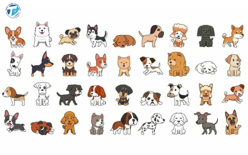 Hình Vector Là Gì? Phân Biệt Ảnh Bitmap Và Vector Chuẩn