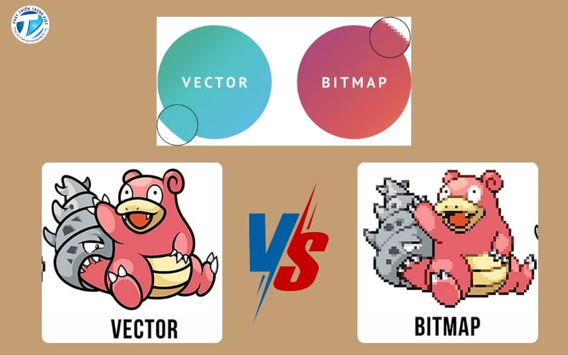 Hình Vector Là Gì? Phân Biệt Ảnh Bitmap Và Vector Chuẩn