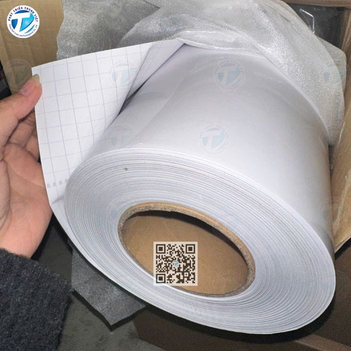 Màng Định Vị (Màng Cán Di Căn)